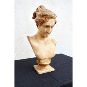 "Hébé", Buste à l'Antique en Plâtre, d'après Antonio CANOVA, Fin XIXème-début XXème.