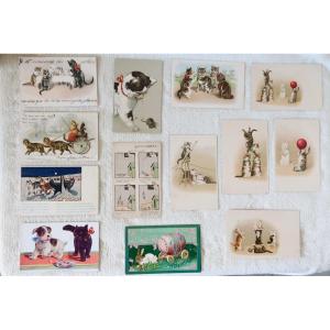 13 Cartes Postales Chats Et Animaux, Helena Maguire, Publicités... 1900-1930