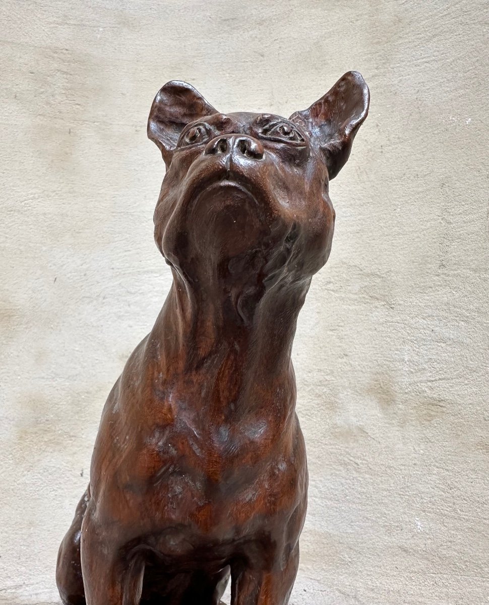 Wooden Sculpture "french Bulldog" Signed By Lambertye - Purebred Dog, Animal Art-photo-4