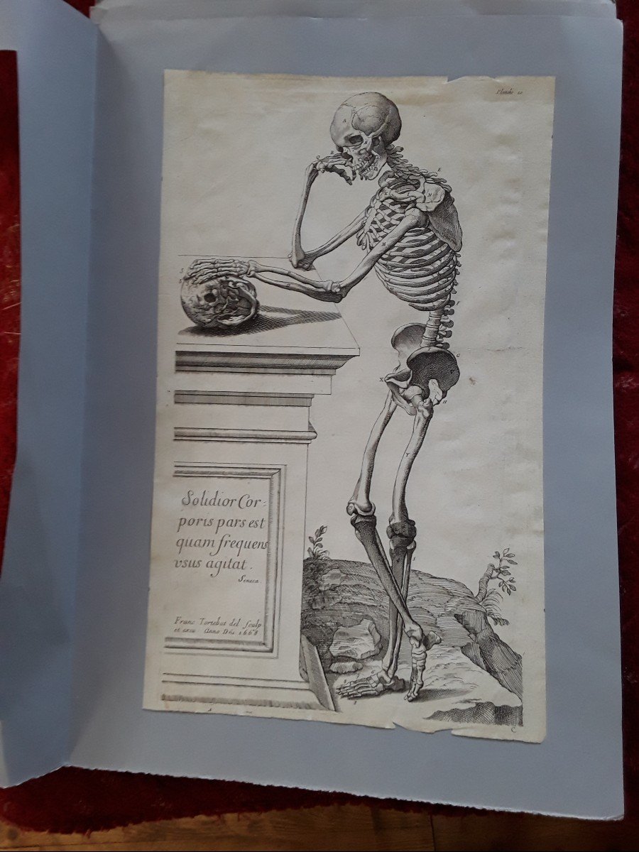  Grande Gravure Ancienne François Tortebat 17ème Siecle 