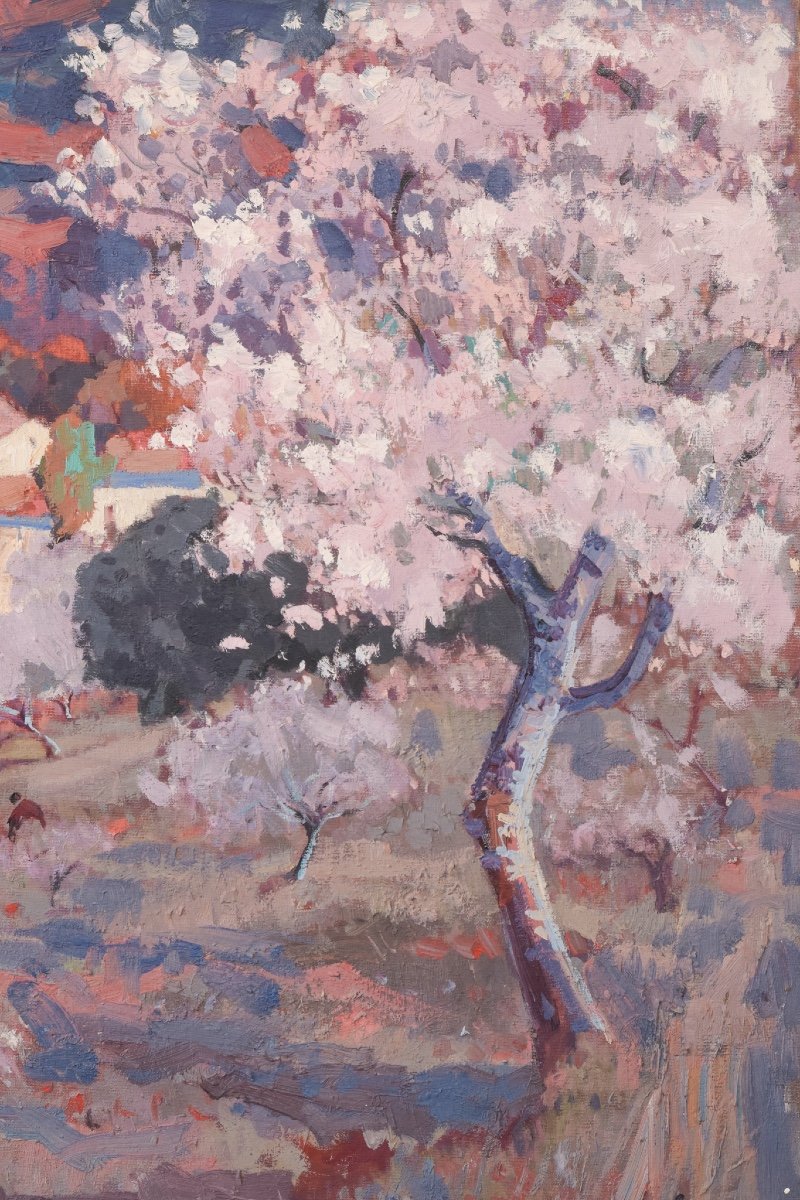 Josep Mas Pou - Almond Blossom-photo-2