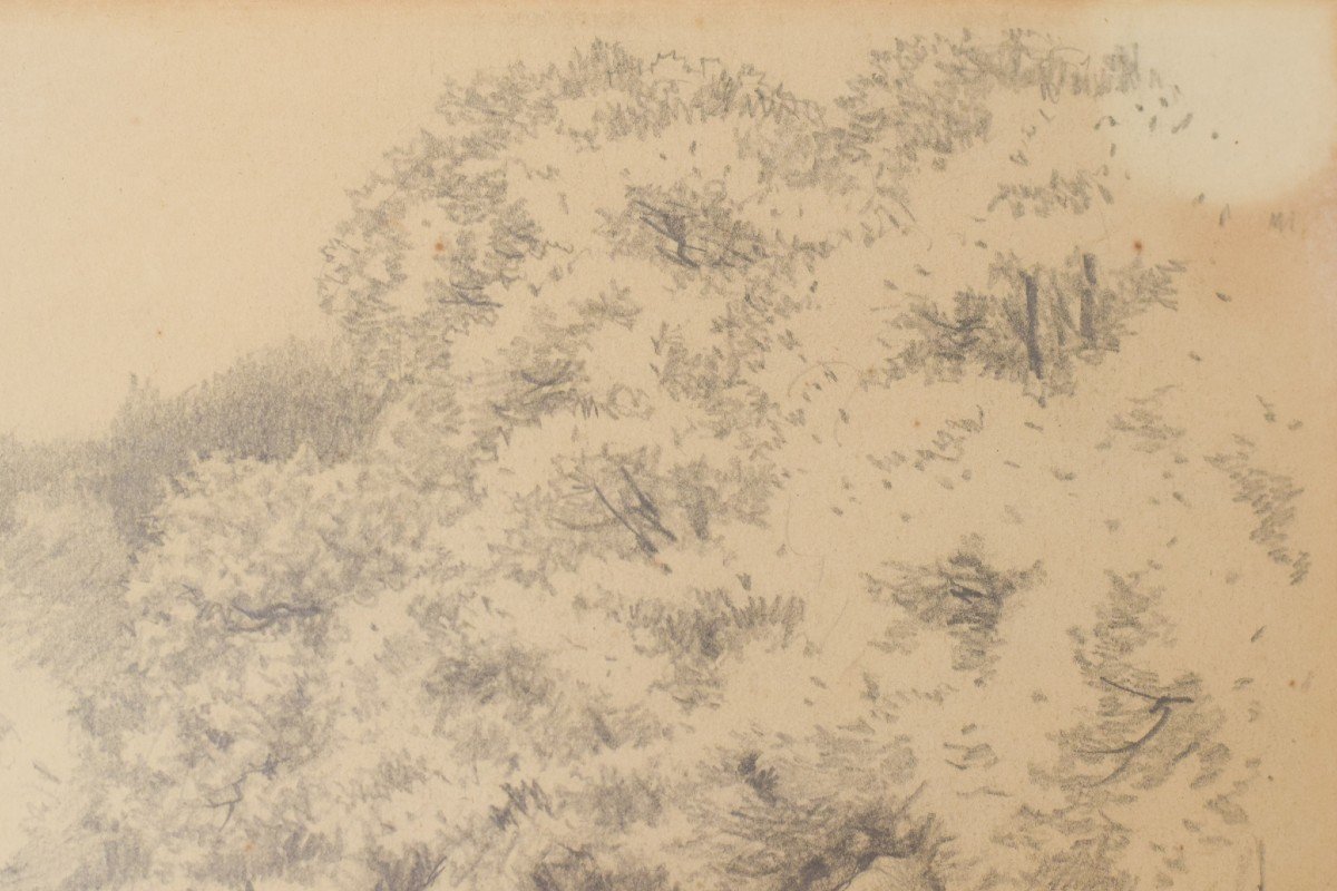 'sur Les Cris' – Dessin De Paysage d'Une Rivière-photo-4