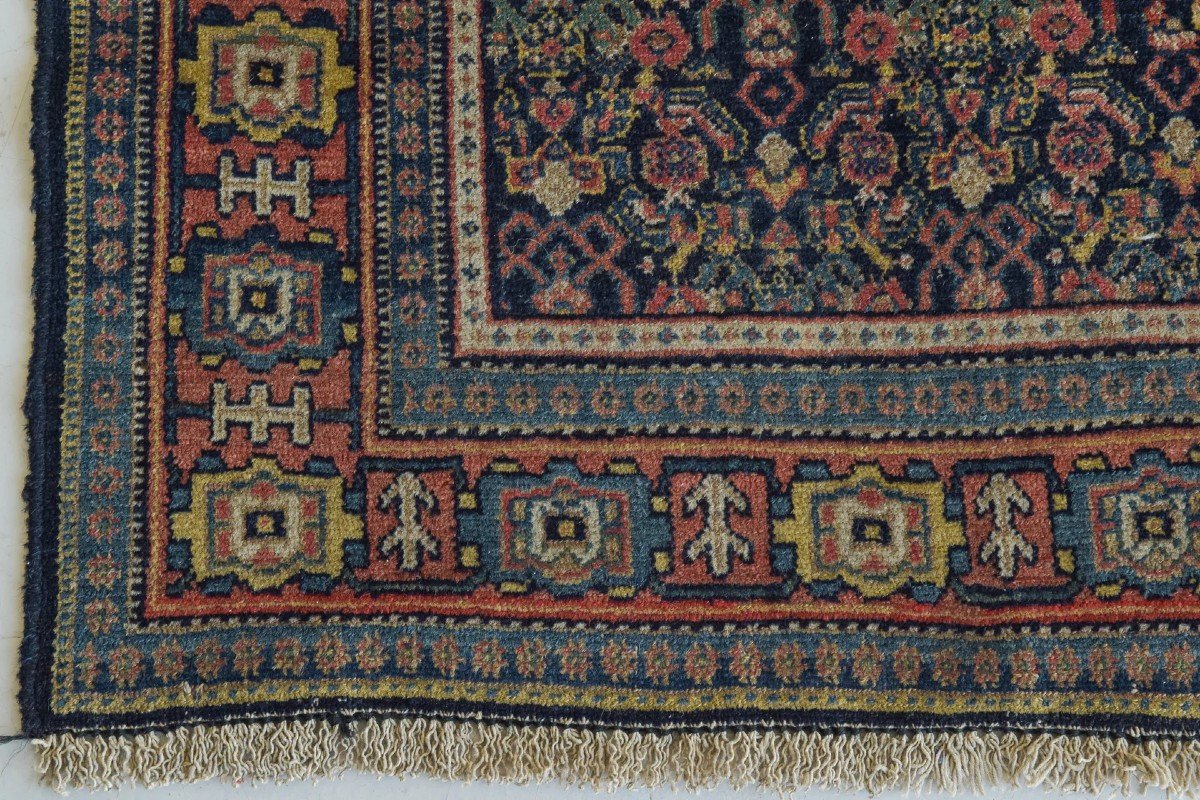 Handwoven - Bidjar Tekab Rug-photo-3