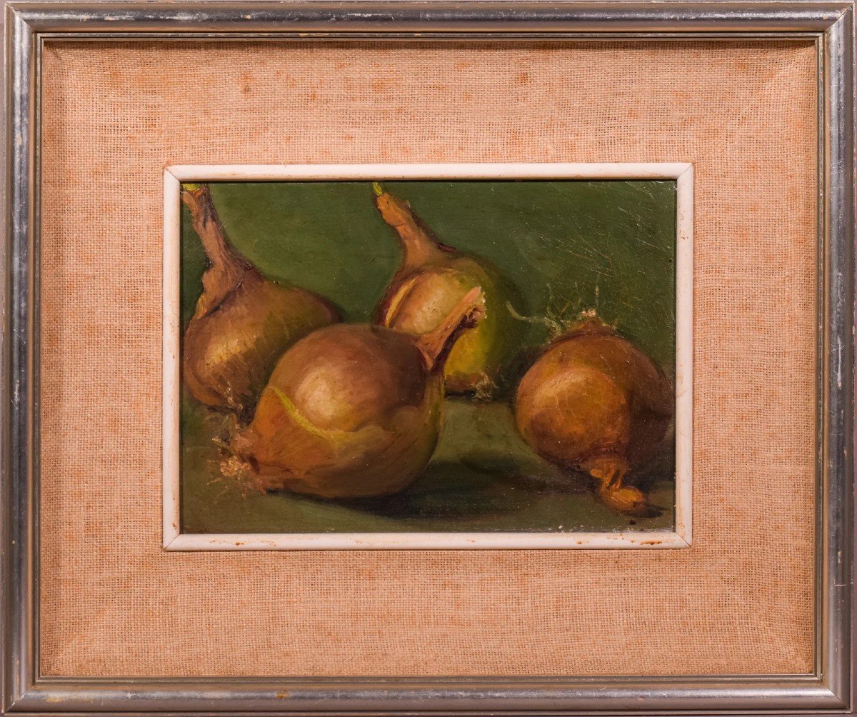 Still Life - Study Of Onions-photo-2