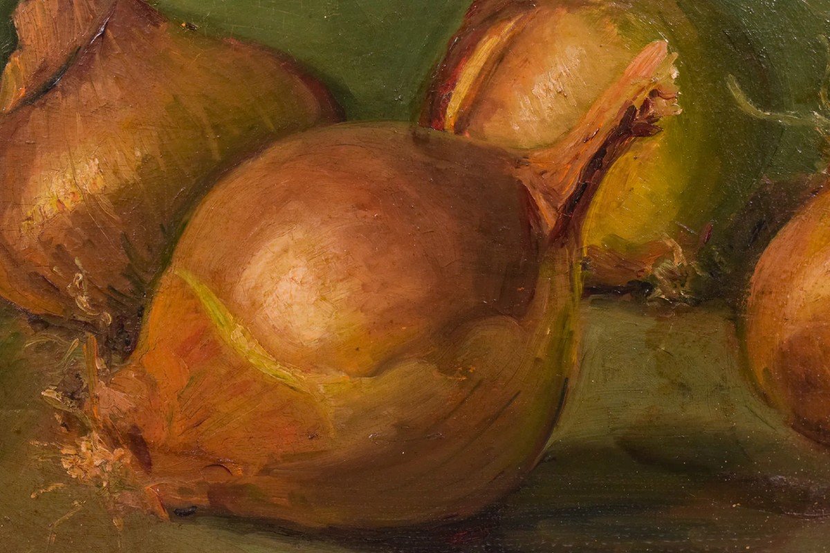 Still Life - Study Of Onions-photo-3