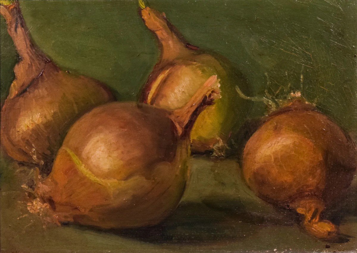 Still Life - Study Of Onions