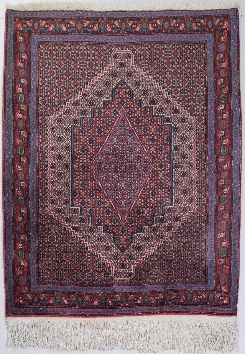 Tapis Oriental Tissé à La Main De Haute Qualité