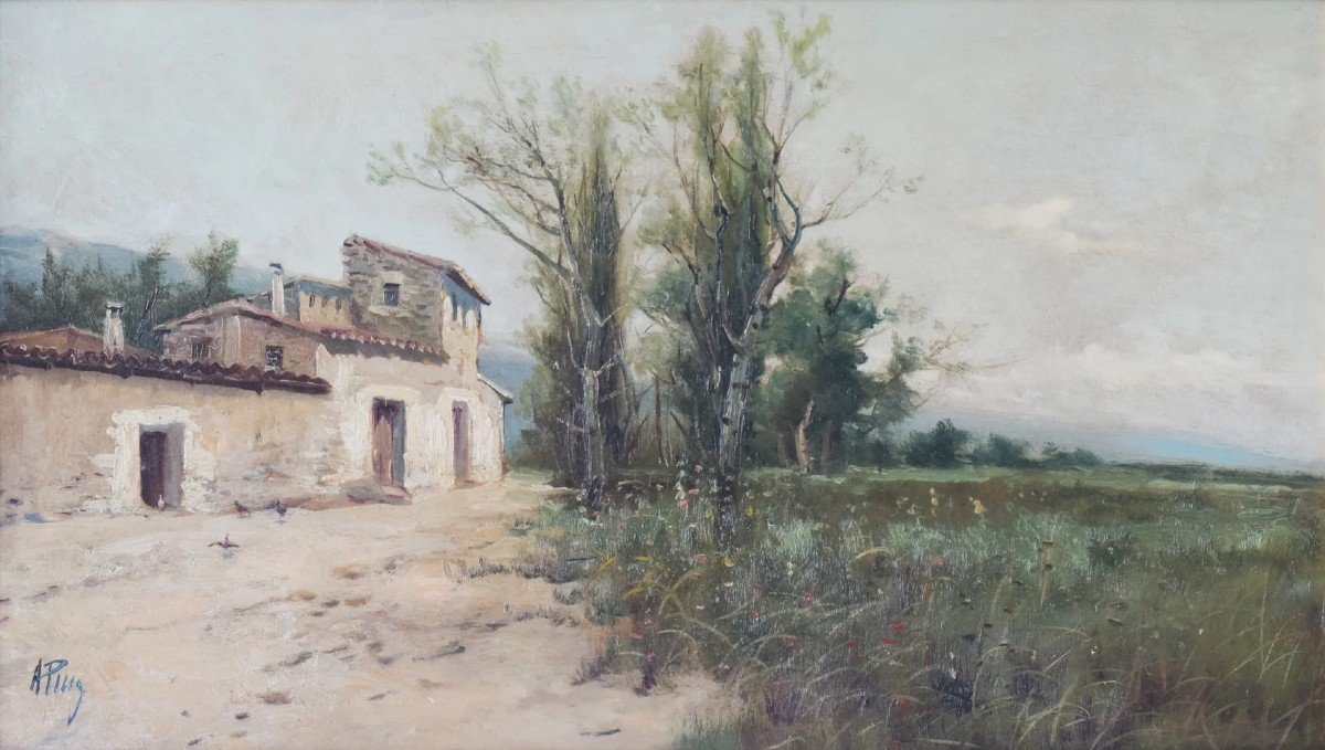 Spanish Landscape - Farmhouse And Wildflower Meadow