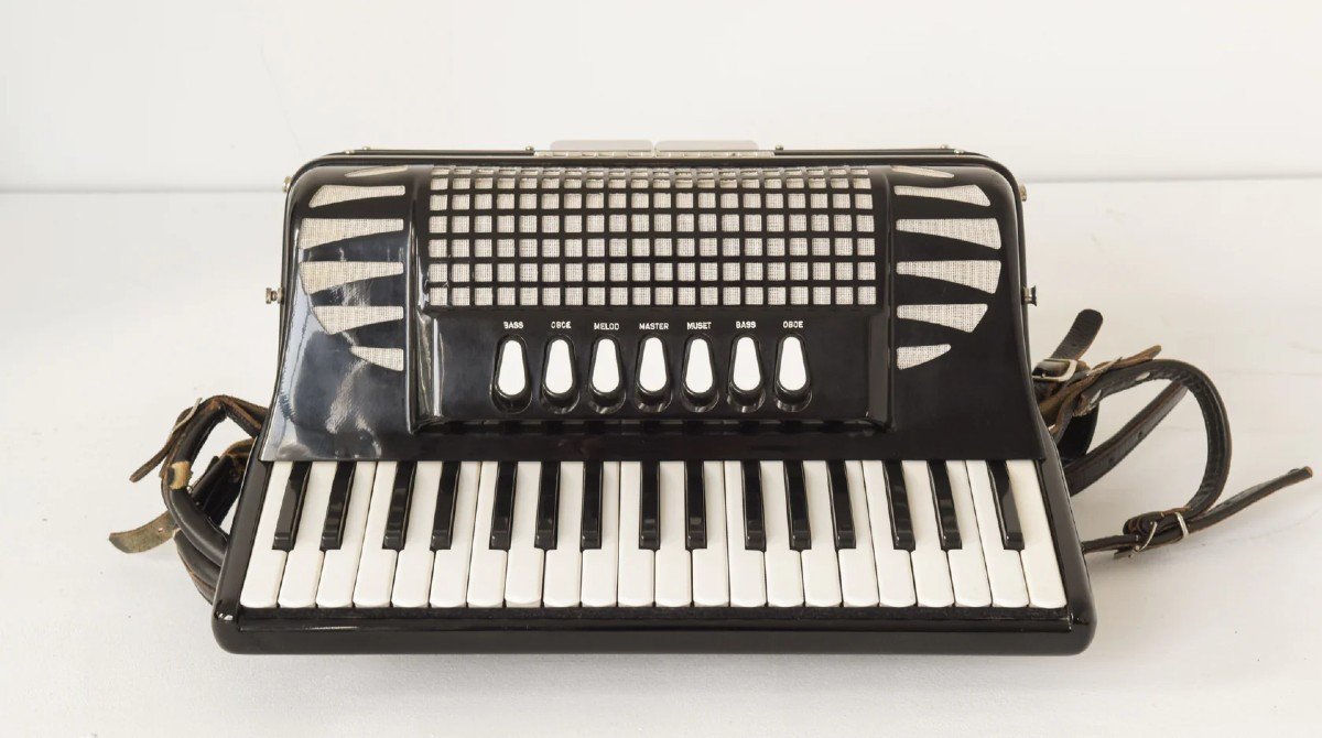 Excelsior Accordion - Mod. 304-photo-1