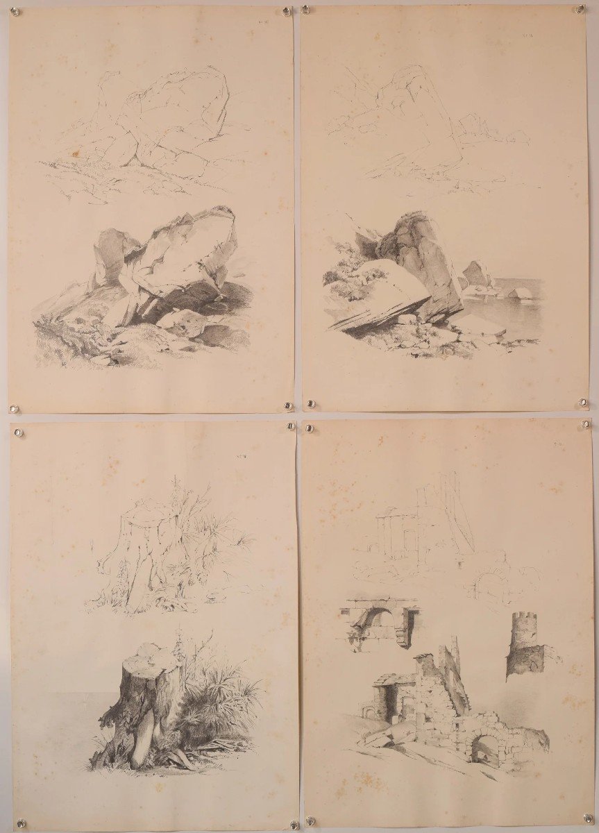 Set Of 11 - Pencil Studies Of Nature-photo-2