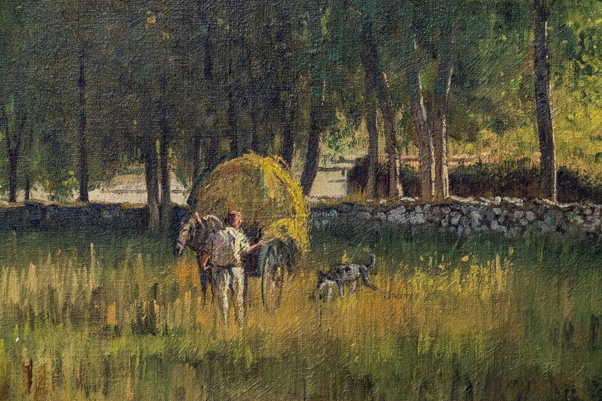 Benito Sanchez - Harvesting Hay-photo-3