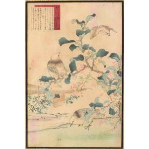 Woodblock - Birds