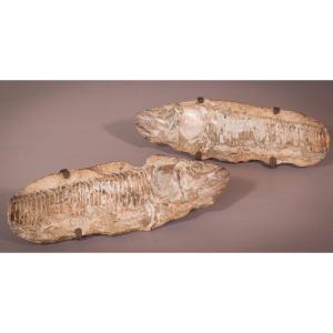 Two Sides Of A Fish Fossil - (possibly An Aspidorhynchus Aspidohyachus Comptoni)