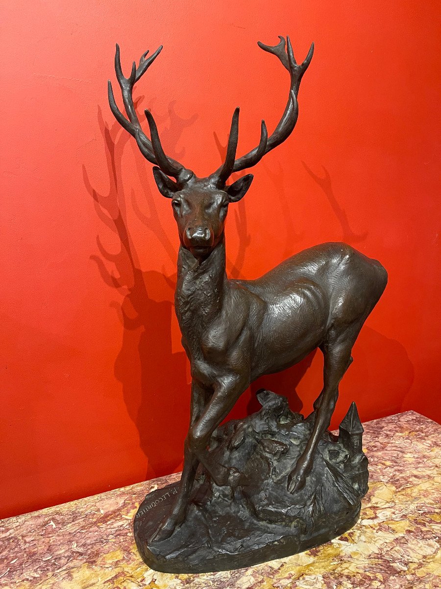 Cerf En Bronze-photo-2