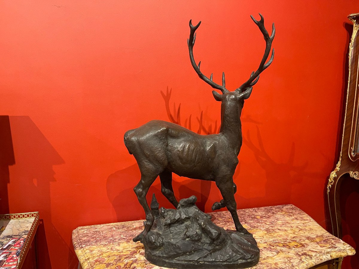 Cerf En Bronze-photo-1