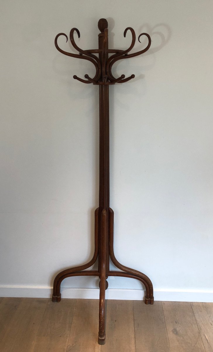 Half-moon Wood Parrot Coat Hanger. French Work. Circa 1900-photo-8