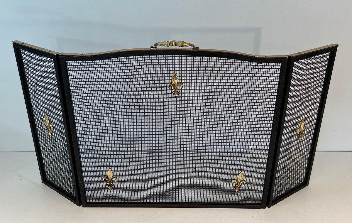 Neoclassical Style Fire Screen In Steel, Brass And Mesh With Fleur-de-lis Decoration.-photo-2