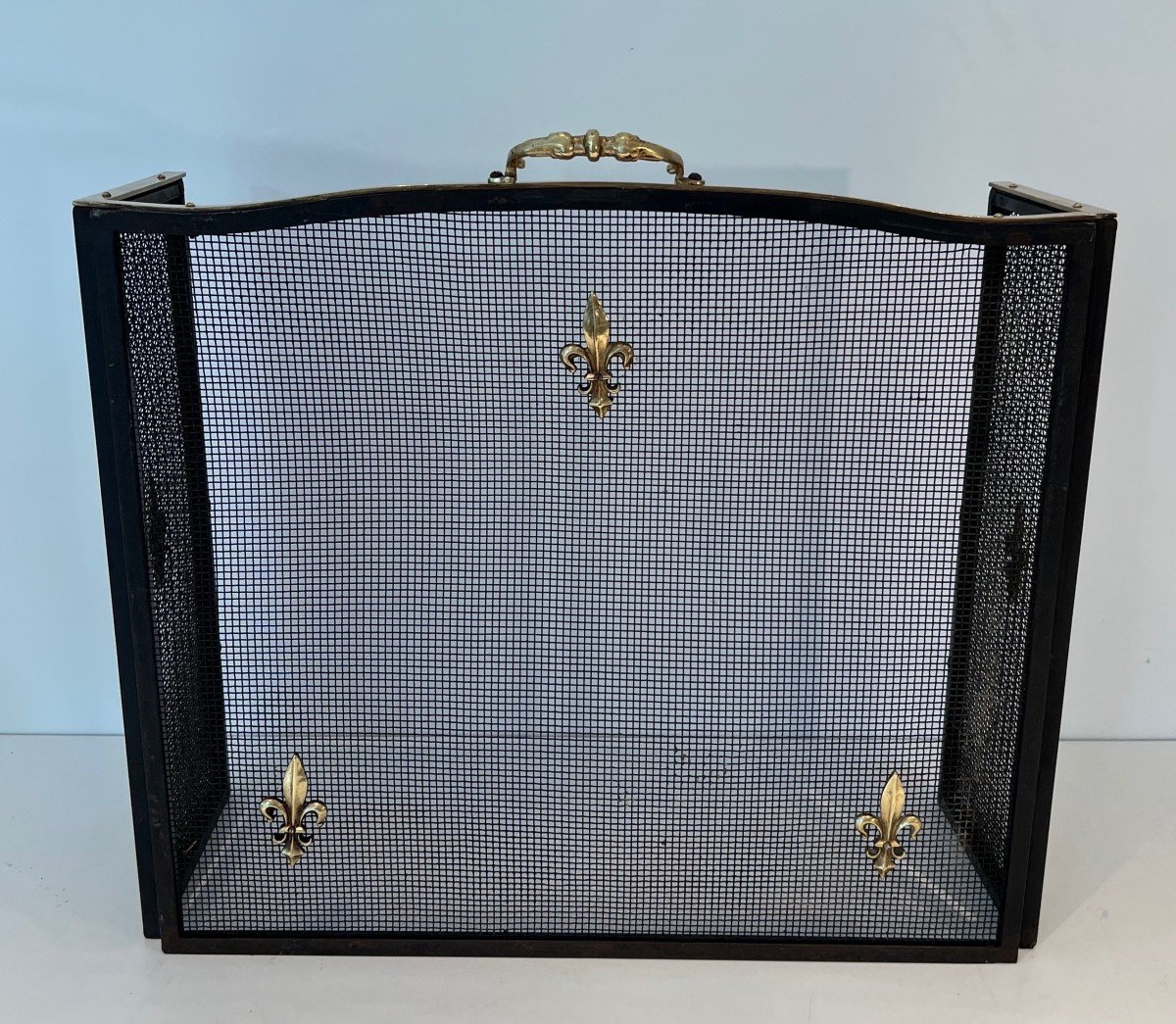 Neoclassical Style Fire Screen In Steel, Brass And Mesh With Fleur-de-lis Decoration.-photo-3