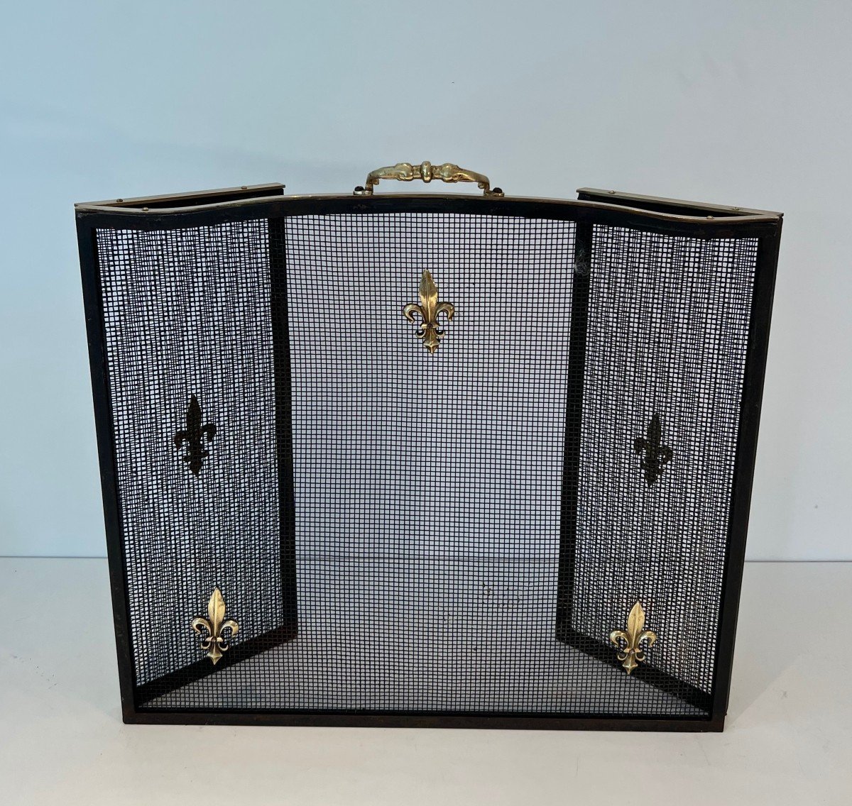 Neoclassical Style Fire Screen In Steel, Brass And Mesh With Fleur-de-lis Decoration.-photo-1