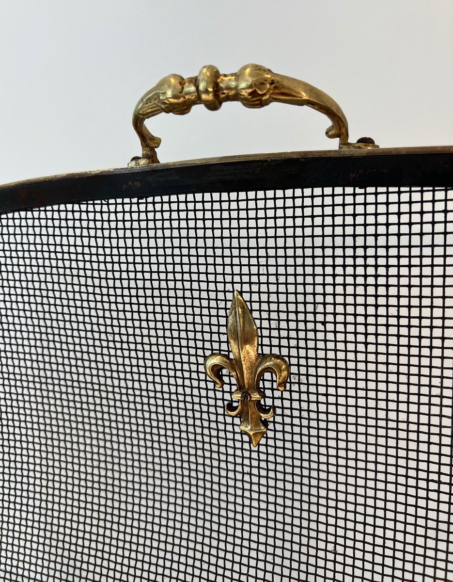 Neoclassical Style Fire Screen In Steel, Brass And Mesh With Fleur-de-lis Decoration.-photo-2