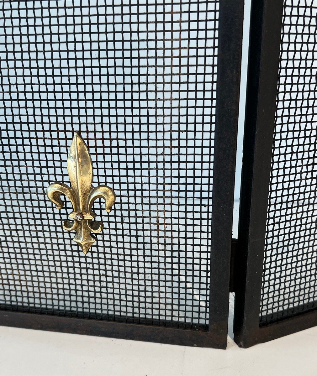 Neoclassical Style Fire Screen In Steel, Brass And Mesh With Fleur-de-lis Decoration.-photo-6