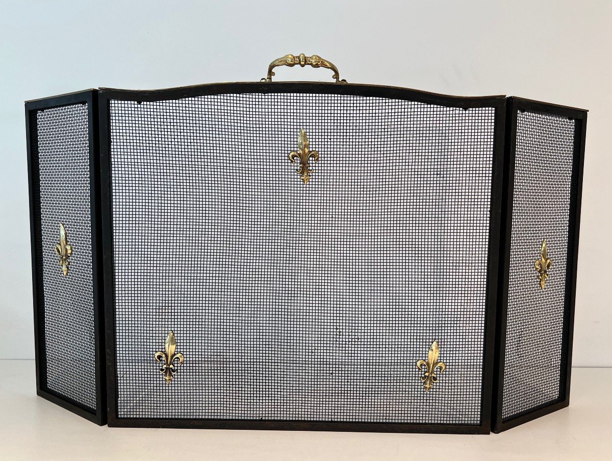 Neoclassical Style Fire Screen In Steel, Brass And Mesh With Fleur-de-lis Decoration.-photo-7