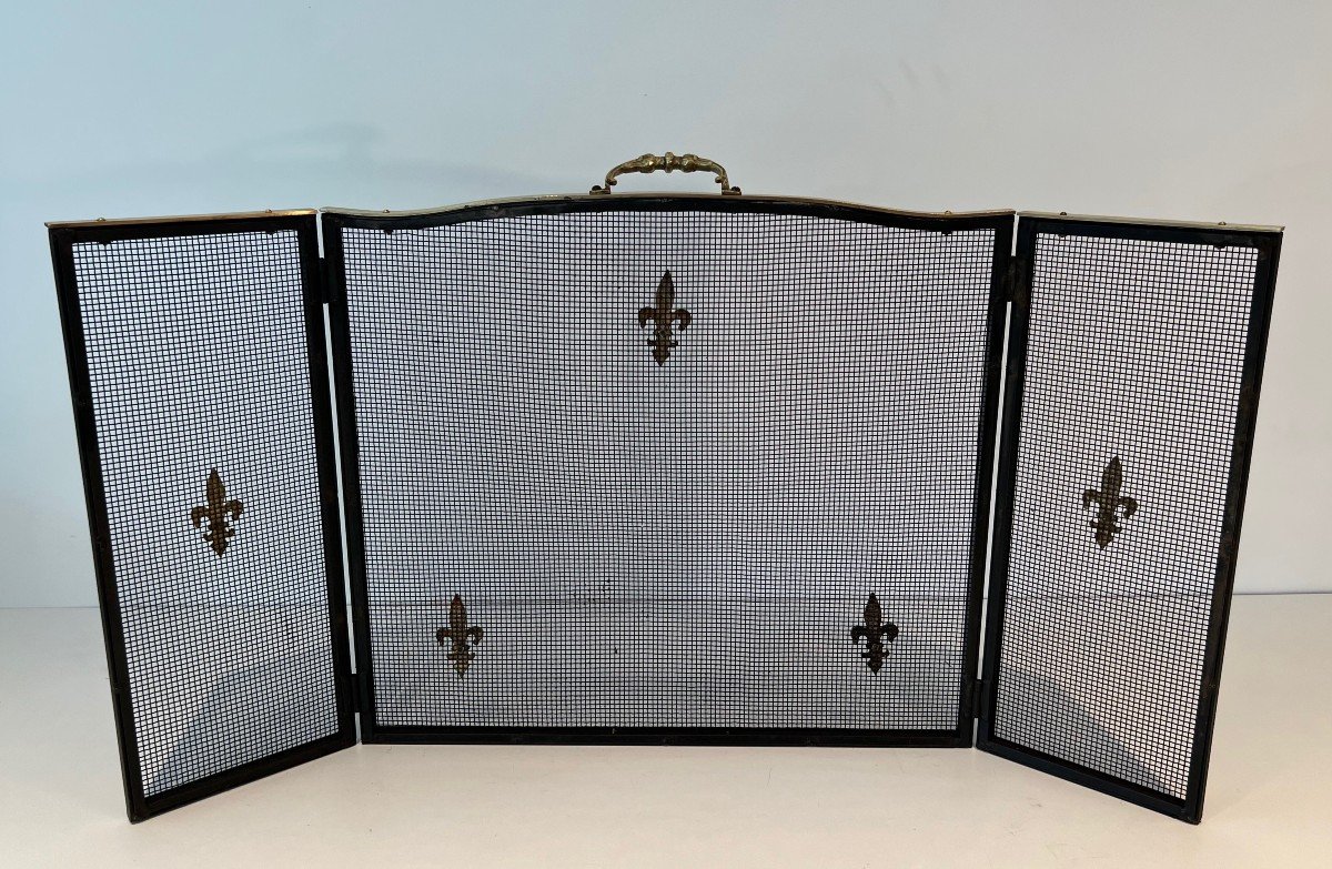 Neoclassical Style Fire Screen In Steel, Brass And Mesh With Fleur-de-lis Decoration.-photo-8