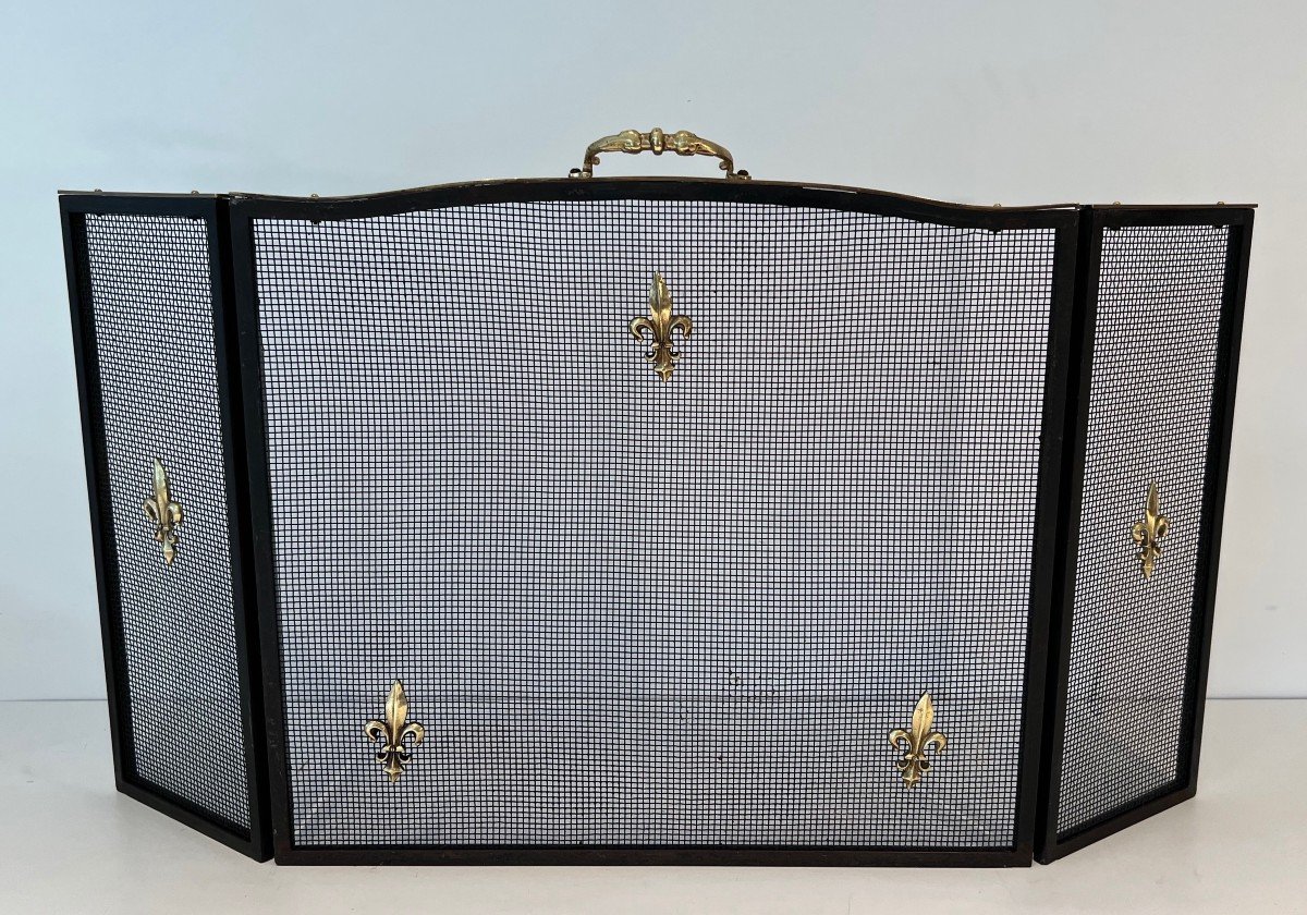 Neoclassical Style Fire Screen In Steel, Brass And Mesh With Fleur-de-lis Decoration.