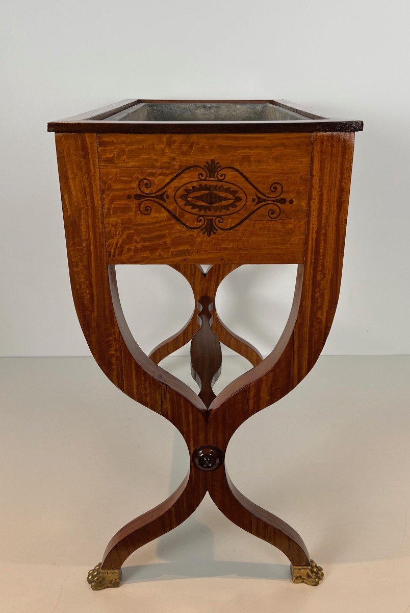 Mahogany Planter With Amaranth Inlay, "x" Base And Bronze Claw Feet From The Charles X Period-photo-1