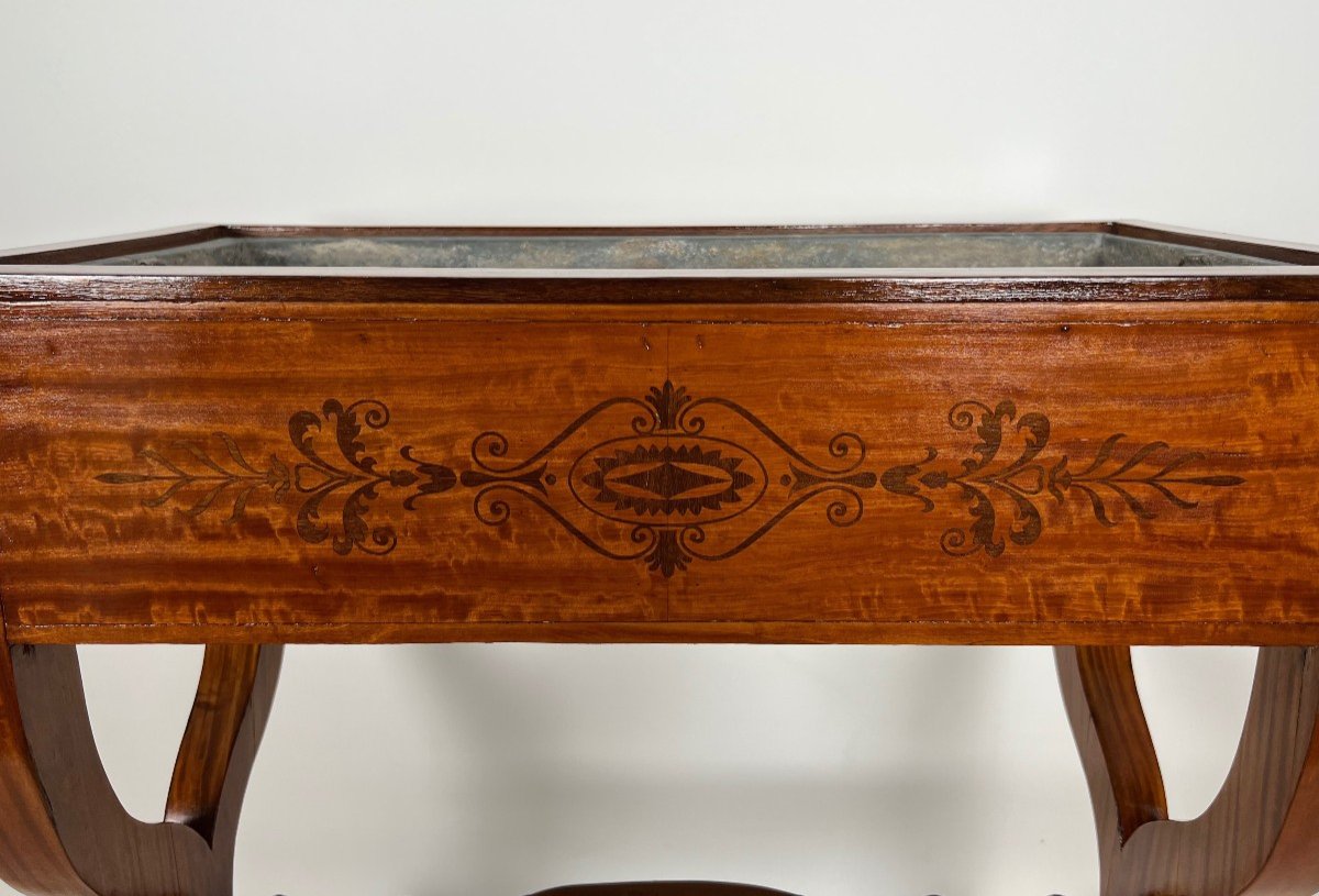 Mahogany Planter With Amaranth Inlay, "x" Base And Bronze Claw Feet From The Charles X Period-photo-4