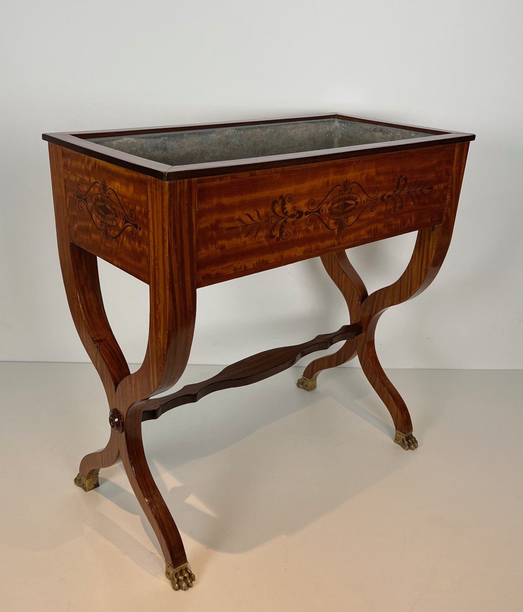 Mahogany Planter With Amaranth Inlay, "x" Base And Bronze Claw Feet From The Charles X Period