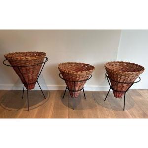 Set Of Three Black Lacquered Metal And Rattan Planters. French Work. Circa 1950
