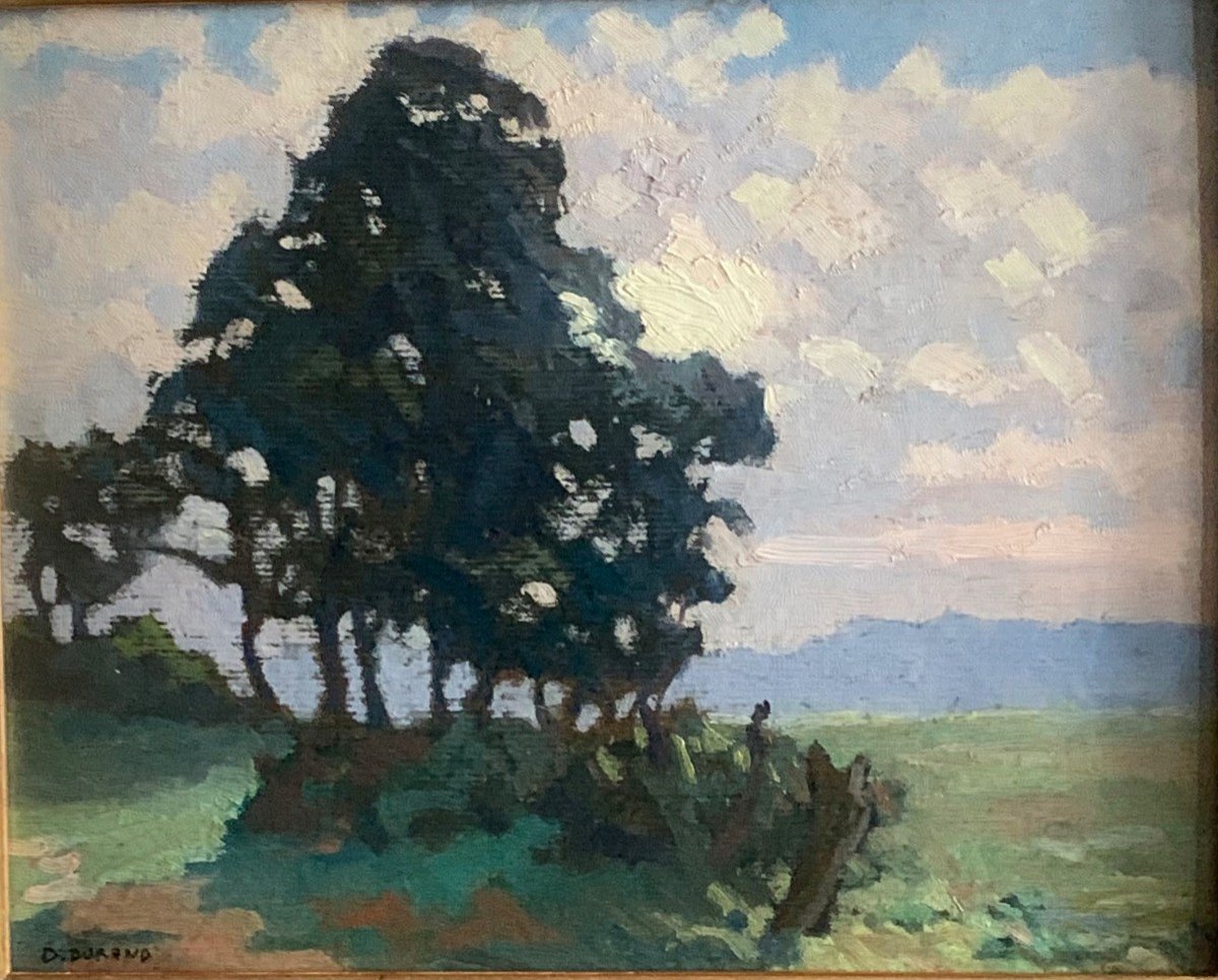 South West Landscape Oil On Cardboard Signed Daniel Durand French School Twentieth Century-photo-3