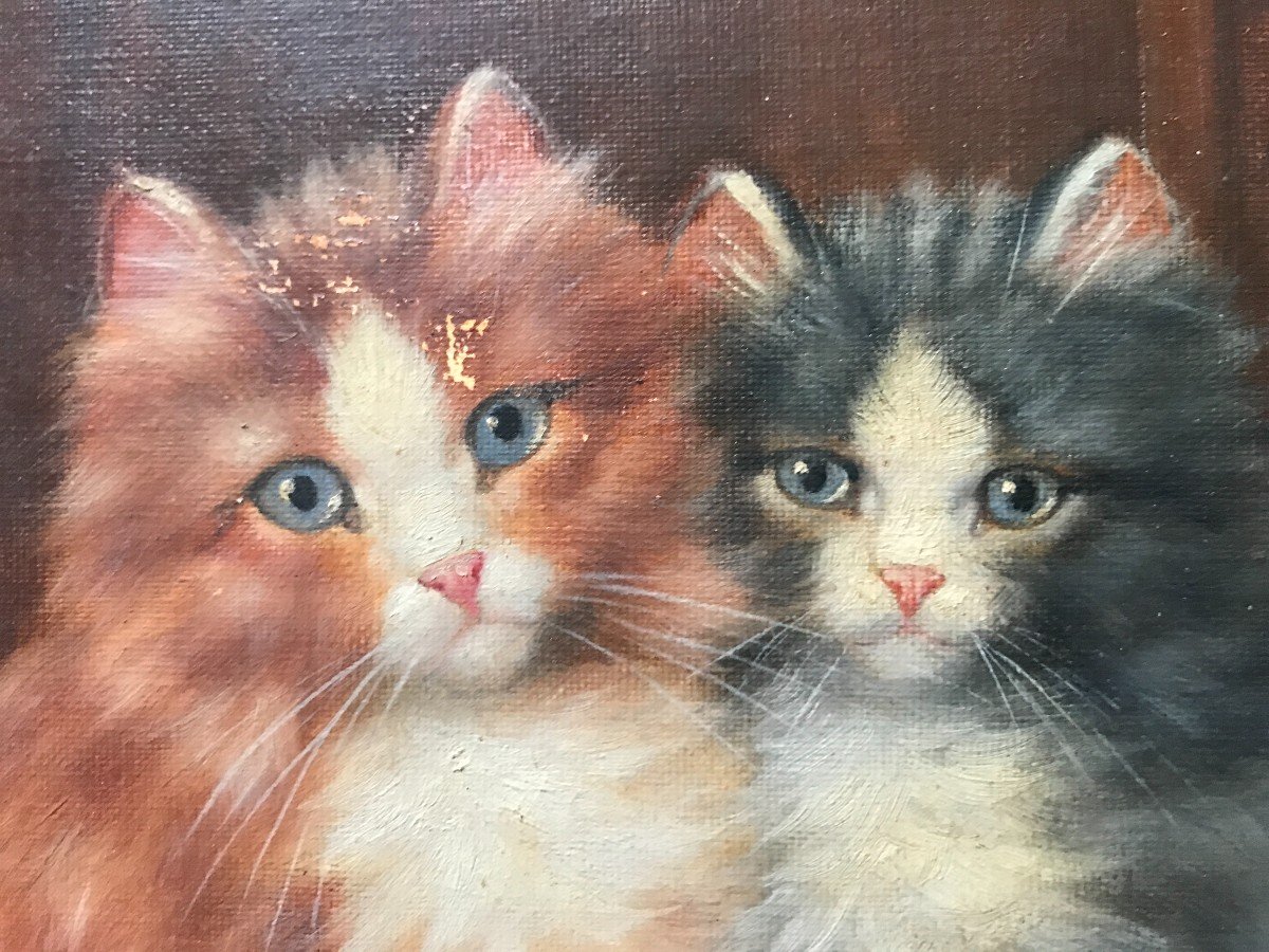 Tableau Les Trois Chatons Huile Sur Toile Signé Burkhard Flury(1862/1928)-photo-3