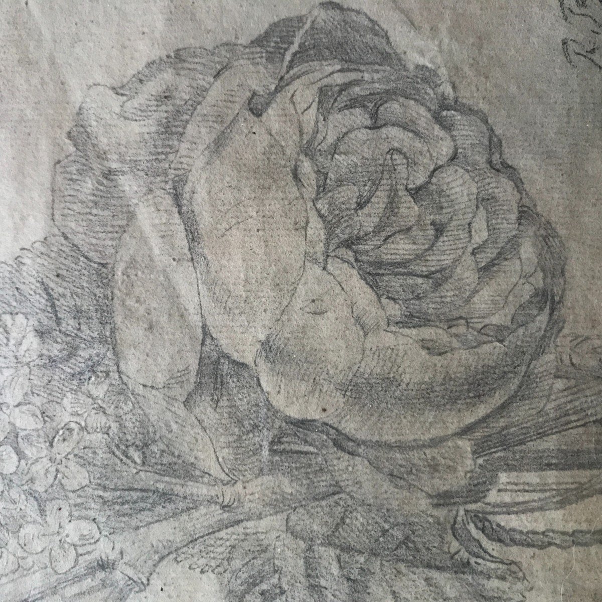 Dessin XVIIIè Siècle , étude De Fleurs Daté 1792 Et Monogrammé Rb-photo-2