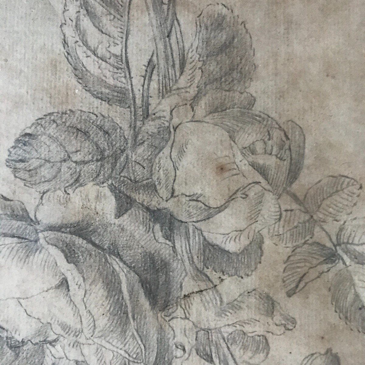 Dessin XVIIIè Siècle , étude De Fleurs Daté 1792 Et Monogrammé Rb-photo-3