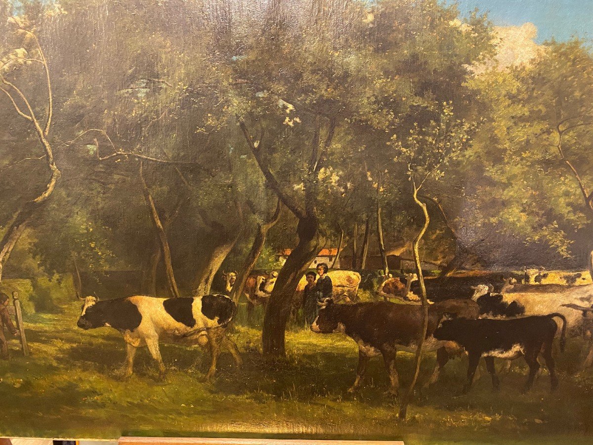 Large Painting "cows In The Meadow" Signed Félix Cogen 19th