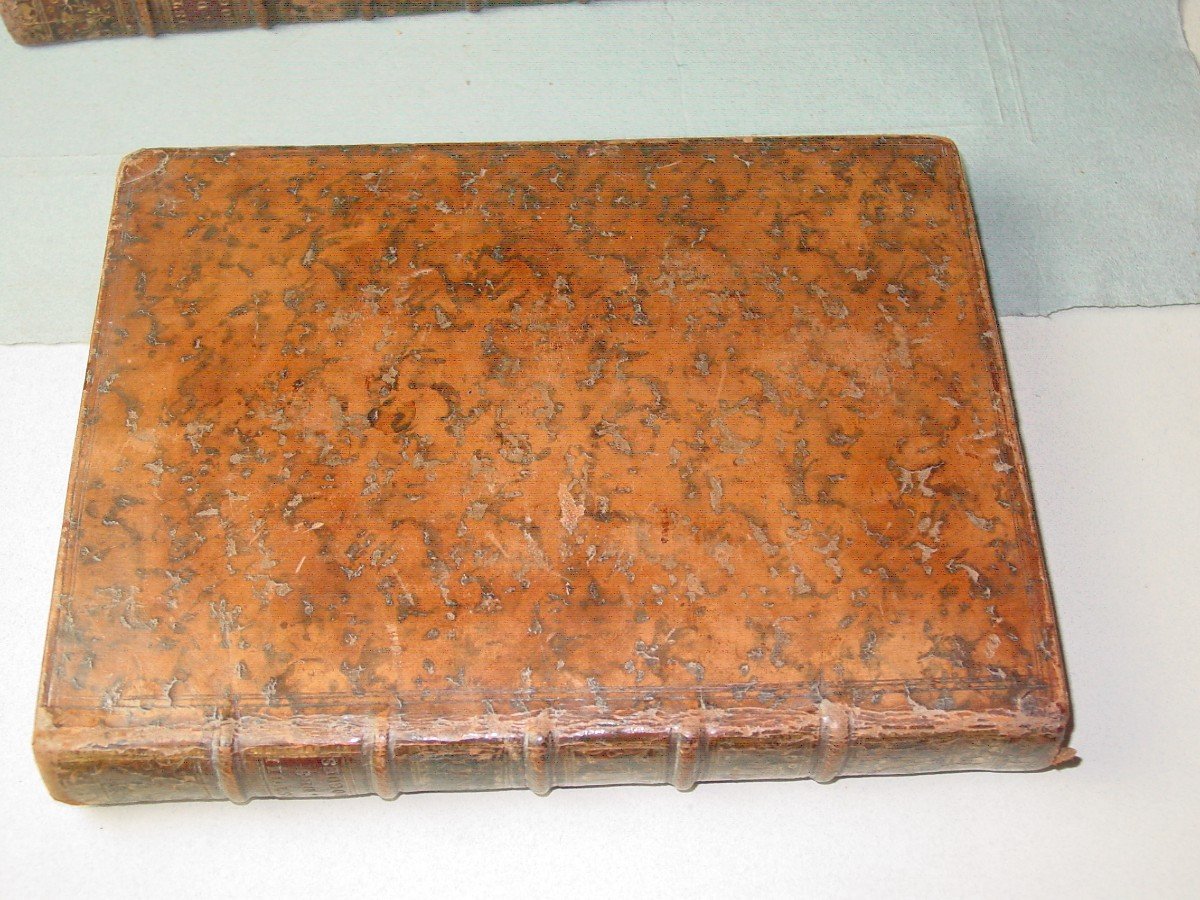 1735 General History Of Drugs By Pomet Chez Ganeau-photo-2