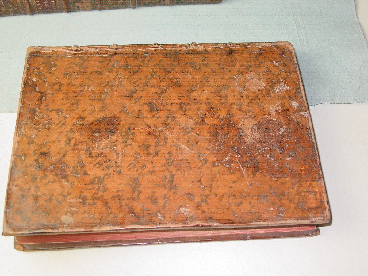 1735 General History Of Drugs By Pomet Chez Ganeau-photo-3