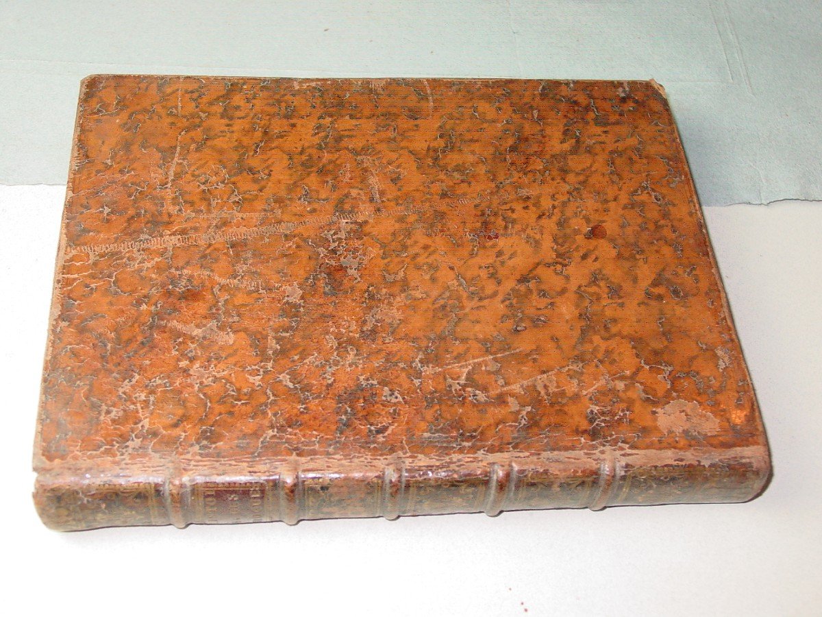 1735 General History Of Drugs By Pomet Chez Ganeau-photo-4