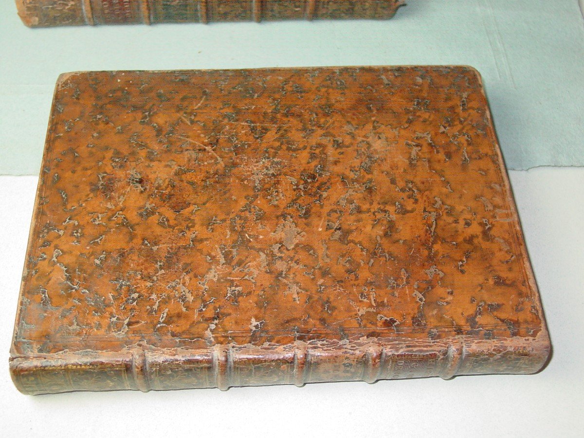 1735 General History Of Drugs By Pomet Chez Ganeau-photo-1