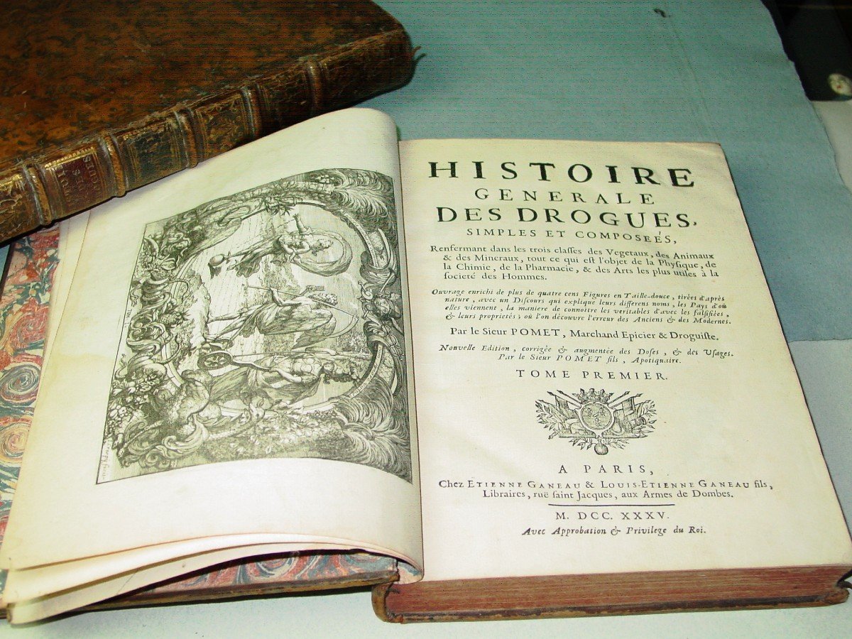 1735 General History Of Drugs By Pomet Chez Ganeau-photo-2