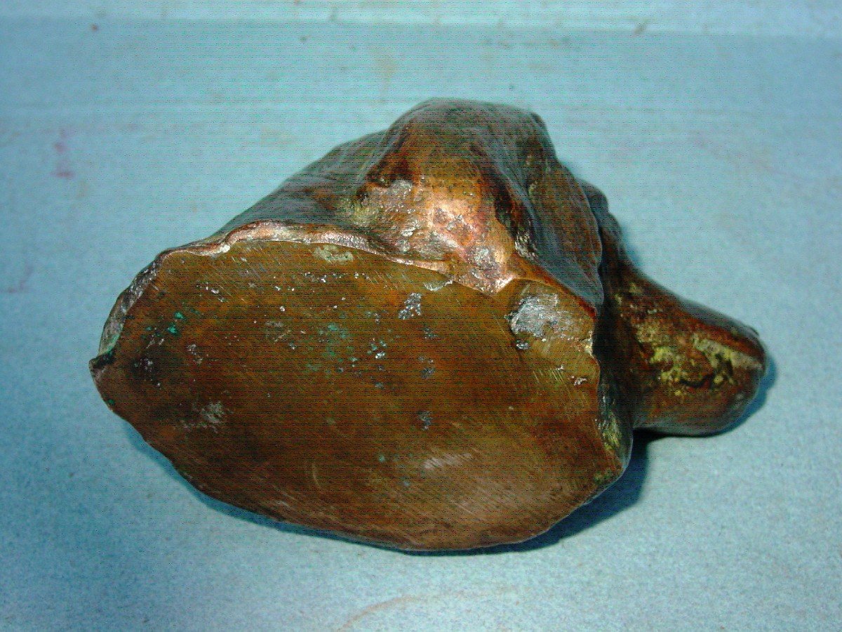 Bronze Setter Dog Head? Hunting Clipboard-photo-4