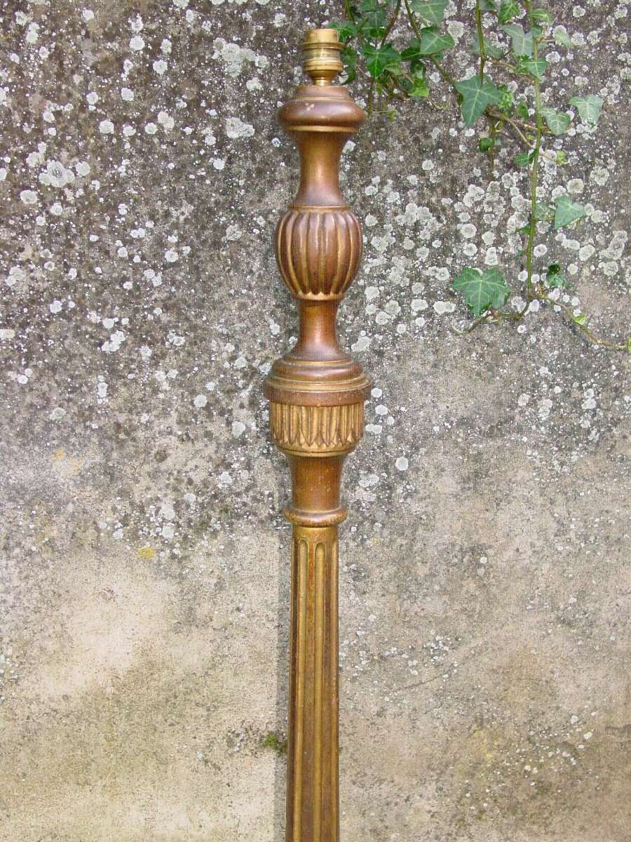 Louis XVI Floor Lamp Third Republic Mordore Wood Bronze-photo-2