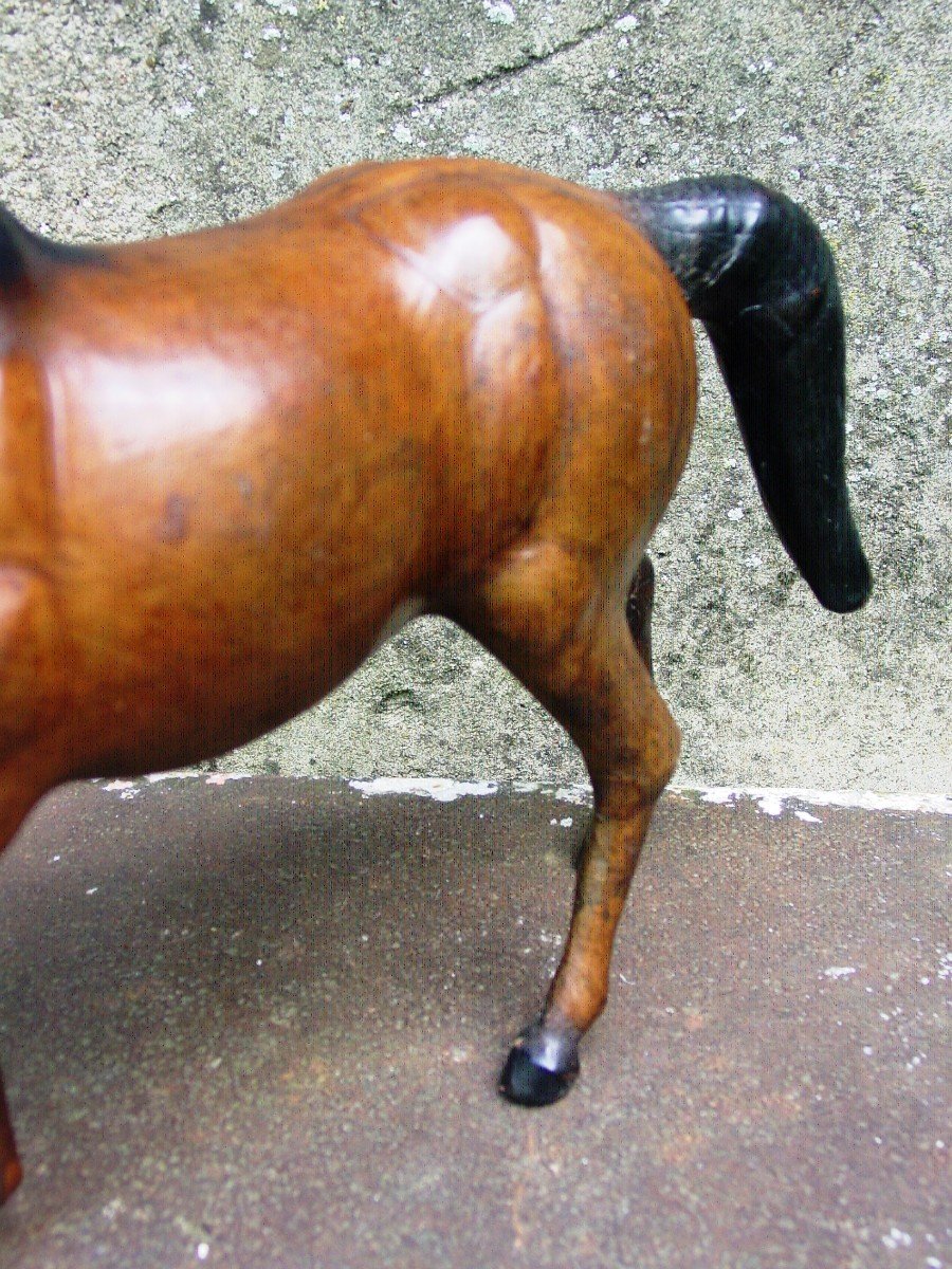 Leather Horse Around 1970 -photo-4