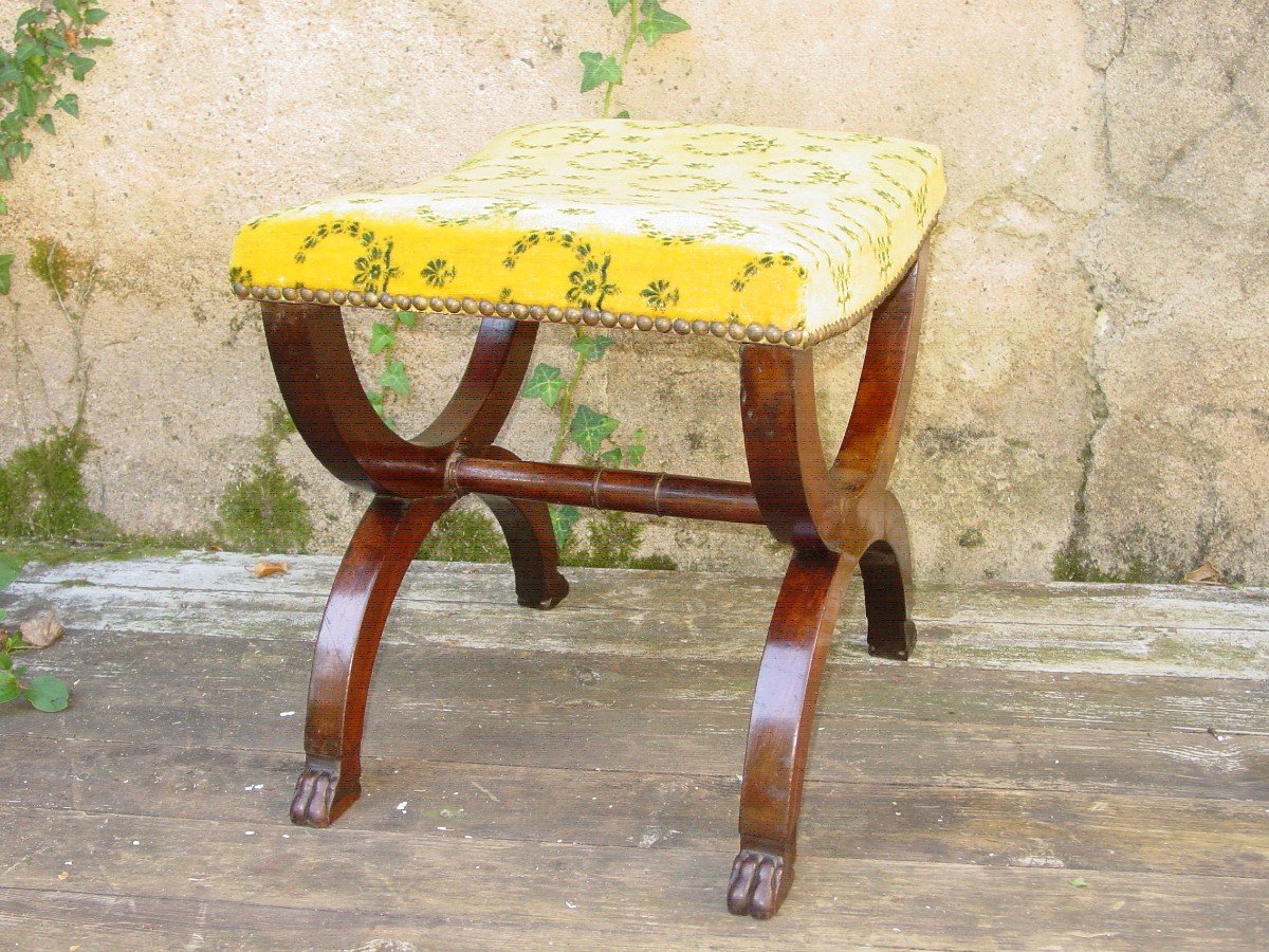 19th Century Mahogany X-shaped Curule Stool-photo-2