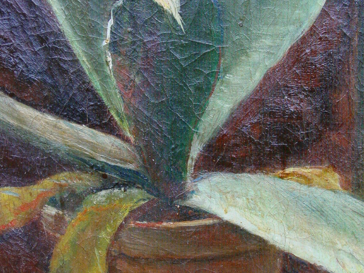 Huile : Pot De Plante Méditerranéenne Signé" Scivio 44"-photo-5