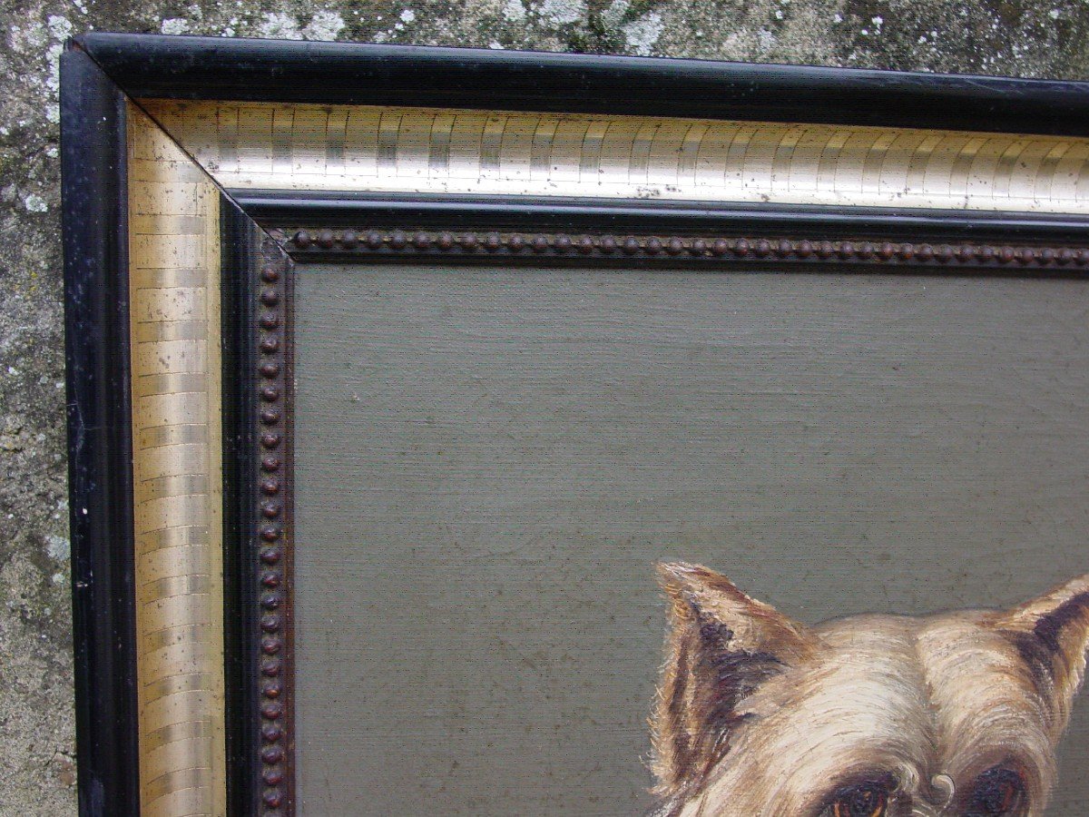 Portrait De Chien (cairn Terrier": Huile /toile Signée "petit"-photo-4