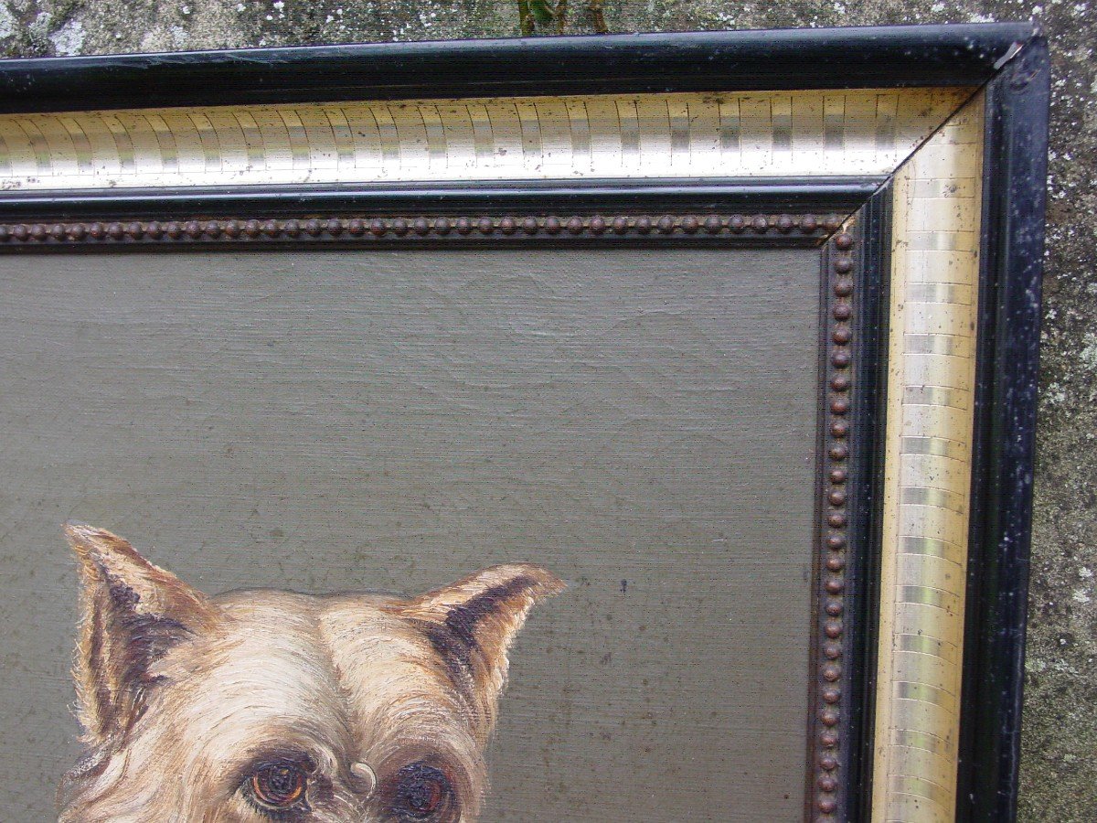 Portrait De Chien (cairn Terrier": Huile /toile Signée "petit"-photo-1