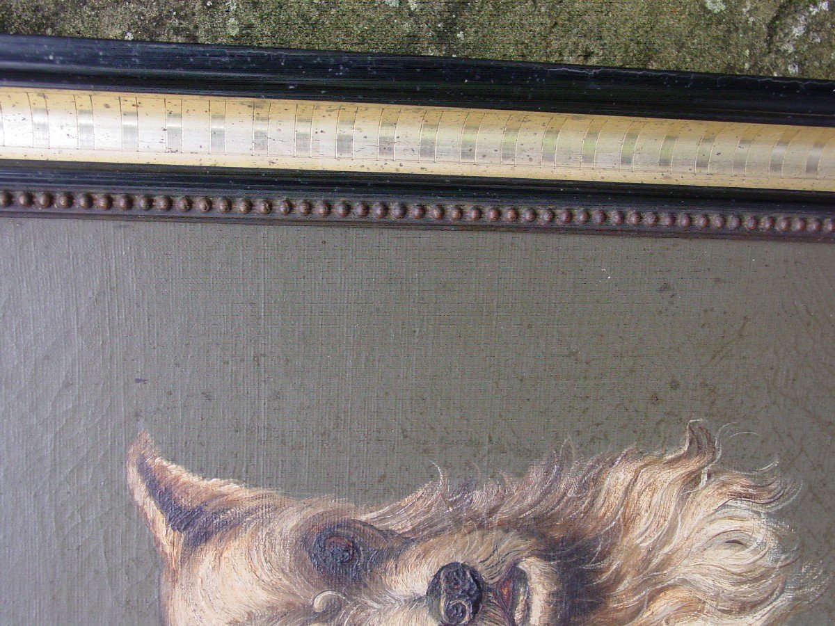 Portrait De Chien (cairn Terrier": Huile /toile Signée "petit"-photo-2